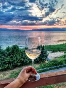 a person holding a glass of wine in front of the ocean at Vila Kikeski in Elshani