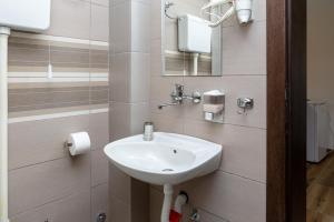 a bathroom with a sink and a mirror at Smeštaj Luka in Soko Banja +41 photos