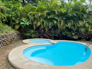 una piscina azul con árboles en el fondo en La Jungla en Carrillo