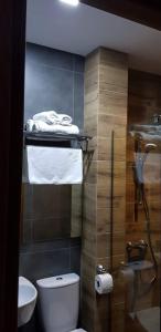 e bagno con servizi igienici, doccia e asciugamani. di Hilltop Kazbegi a Kazbegi Altre 37 foto