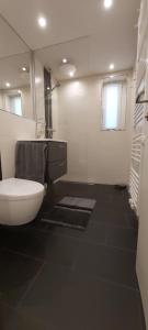 ein Badezimmer mit Toilette, Waschbecken und Spiegel in der Unterkunft FeWo Hafner "Zuhause mit Ausblick" in Schnaittach