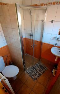 a bathroom with a shower and a toilet and a sink at Kateřina restaurant a penzion in Rozvadov