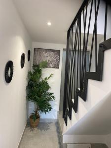 Fotografia z galérie ubytovania Au soleil v destinácii Canet-en-Roussillon