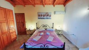 1 dormitorio con 1 cama rosa en una habitación en Tonias Houses - Thea House and Vrachos Attic Appartment en Alikanas