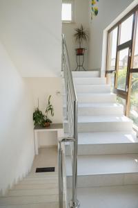 Fotografie z fotogalerie ubytování Apartman Krstičević v destinaci Metković