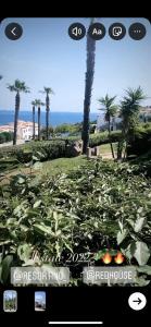 a picture of a garden with fruits and vegetables at RedHouse in Crotone