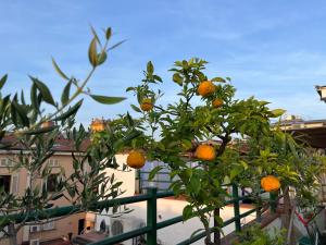 Fotografie z fotogalerie ubytování HOTEL ZUCCONI v destinaci Montecatini Terme