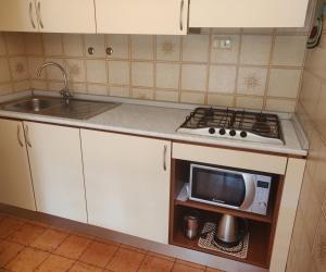 una pequeña cocina con fregadero y microondas en Residenza Il Poggio, en San Bartolomeo al Mare