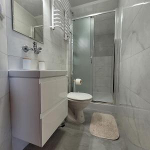 biała łazienka z toaletą i prysznicem w obiekcie Dom Nad Jeziorem Staw w Gawrych Rudzie