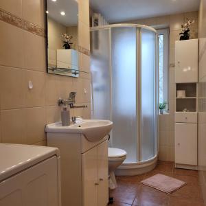 a bathroom with a shower and a toilet and a sink at Dom Nad Jeziorem Staw in Gawrych Ruda +28 photos