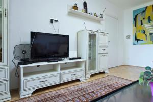 Televízia a/alebo spoločenská miestnosť v ubytovaní Apartman MAMI-KROK