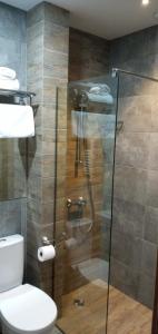 a bathroom with a toilet and a glass shower at Hilltop Kazbegi in Kazbegi