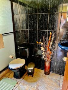 a bathroom with a toilet and a vase with a plant at Apartamentos M&M in Fortuna