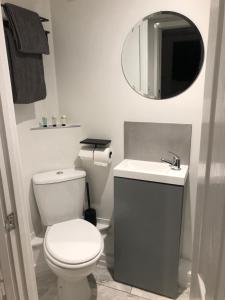 a bathroom with a toilet and a sink and a mirror at Exclusive Modern decorated 1 Bedroom Detached Studio in Newport