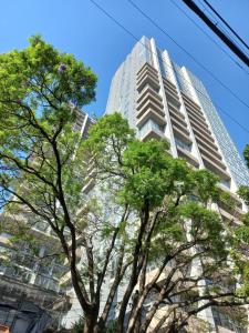 een hoog gebouw met bomen ervoor bij NSI Anseli in Mexico-Stad