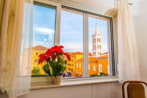 Fotografie z fotogalerie ubytování Roman Forum Apartments v destinaci Zadar