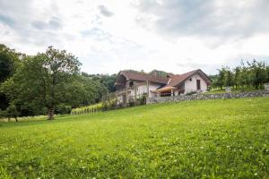 ein Haus auf einem Hügel mit einem grünen Feld in der Unterkunft Holiday home in Smarjeske Toplice Kranjska Krain 42904 in Smarjeske Toplice
