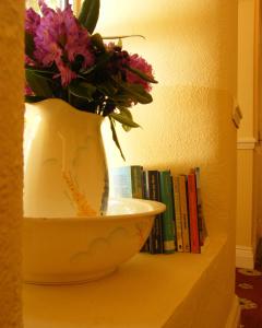 Knihovna v bed and breakfast