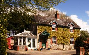 una vecchia casa in pietra con sopra edera di Druid Cottage a Kenmare