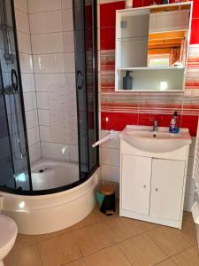 a bathroom with a shower and a sink and a toilet at Domki wczasowe OSKAR in Chłopy