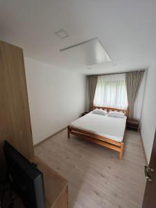 a bedroom with a bed and a television in it at Casa dintre Brazi Hunedoara in Hunedoara