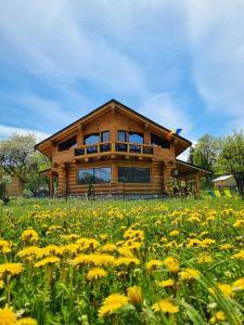 ein Blockhaus mit einem Feld gelber Blumen in der Unterkunft ORTOAIA CHALET in Dorna-Arini