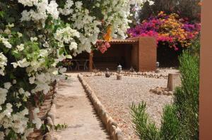 un jardín con flores blancas y un camino de piedra en La Palmeraie De Massa, en Zaouit Massa