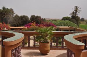 La Palmeraie De Massa في Zaouit Massa: طاولة خشبية مع نبات الفخار على الشرفة