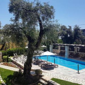 Bazén v ubytování Vassilis Guest House nebo v jeho okolí