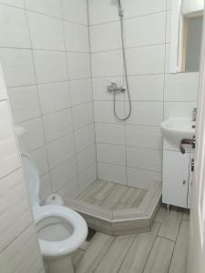 uma casa de banho com um chuveiro, um WC e um lavatório. em Emyra's holiday rooms em Constança