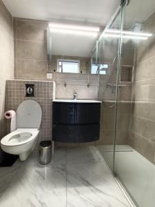 een badkamer met een toilet, een wastafel en een douche bij Pavillon avec terrasse 6 personnes, piscine, 700m Plage 6EV2PAV425 in Saint Pierre La Mer