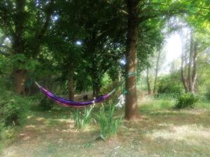a hammock hanging from a tree in a forest at Maison de campagne, à 7km du circuit des 24h in Arnage