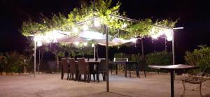 Kép DIMORA IL CAMALEONTE apartments in nature with pool szállásáról Civitavecchiában a galériában