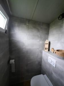 a small bathroom with a toilet and a window at Vakantiehuisjes Marsherne in Poppingawier