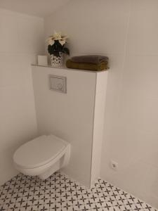 a white bathroom with a toilet and a shelf at Rožu iela in Sigulda