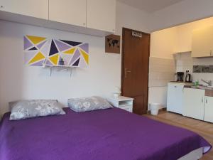 Kuchyňa alebo kuchynka v ubytovaní Apartments Crikvenica Megan 2