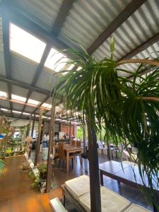 a conservatory with a table and a potted plant at ゲストハウス303 in Zamami