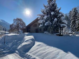 Chalet Falcon - Luxury Swiss Retreat with Hot-Tub v zimě