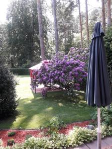 an umbrella in a garden with purple flowers at Ferienhaus am Langen See in Heidesee