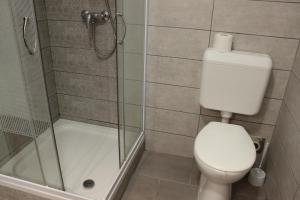 Un baño con inodoro y ducha de cristal. en Otto Apartment, en Harkány 15 fotos más