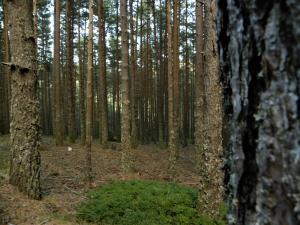 Fotografia z galérie ubytovania Apartamento rural con increíbles vistas v destinácii Montederramo