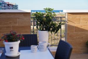 una mesa con una planta en un jarrón en un balcón en Maison Lion, en Margherita di Savoia