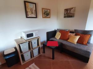 uma sala de estar com um sofá e uma televisão em Casa dei Boscarini em Buje