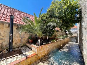 Fotografia z galérie ubytovania Villa Lizza v destinácii Cavtat