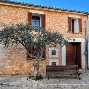 a tree in front of a building with a bench at El Nido de Alaro - Turismo de Interior in Alaró