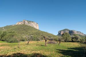 a field with trees and a mountain in the background at El Nido de Alaro - Turismo de Interior in Alaró