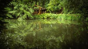 Fotografie z fotogalerie ubytování Hasenstall v destinaci Rehburg-Loccum + 14 fotografií