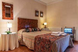 セゴビアにあるEntreacebedas rural&vacaciones, alojamientos con jardín a una hora de Madrid GASTRONOMÍA Y AHORROのベッドとテレビが備わるホテルルームです。