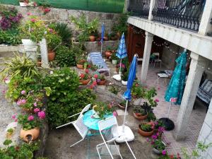 a garden with chairs and potted plants and umbrellas at Apartamento Tui, Casa da Barca in Tui
