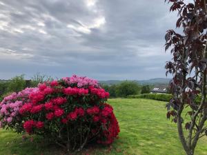 Taman di luar The Cottage, near Glasgow Milngavie